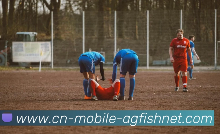 App Interface Preview